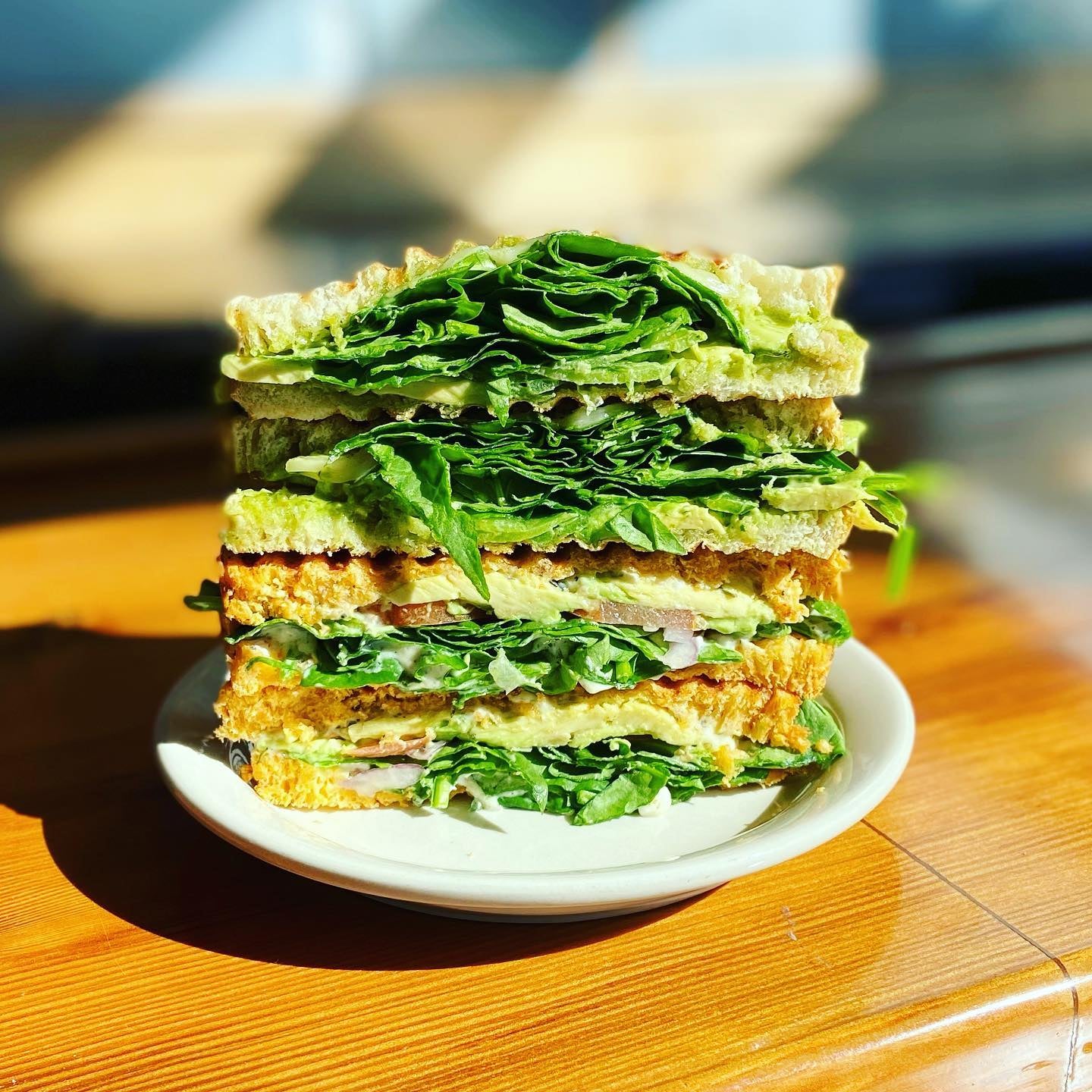 Panini The Avocado Toast Panini Wild Oats Bakery To Go panini-the-avocado-toast-panini-wild-oats-bakery-to-go